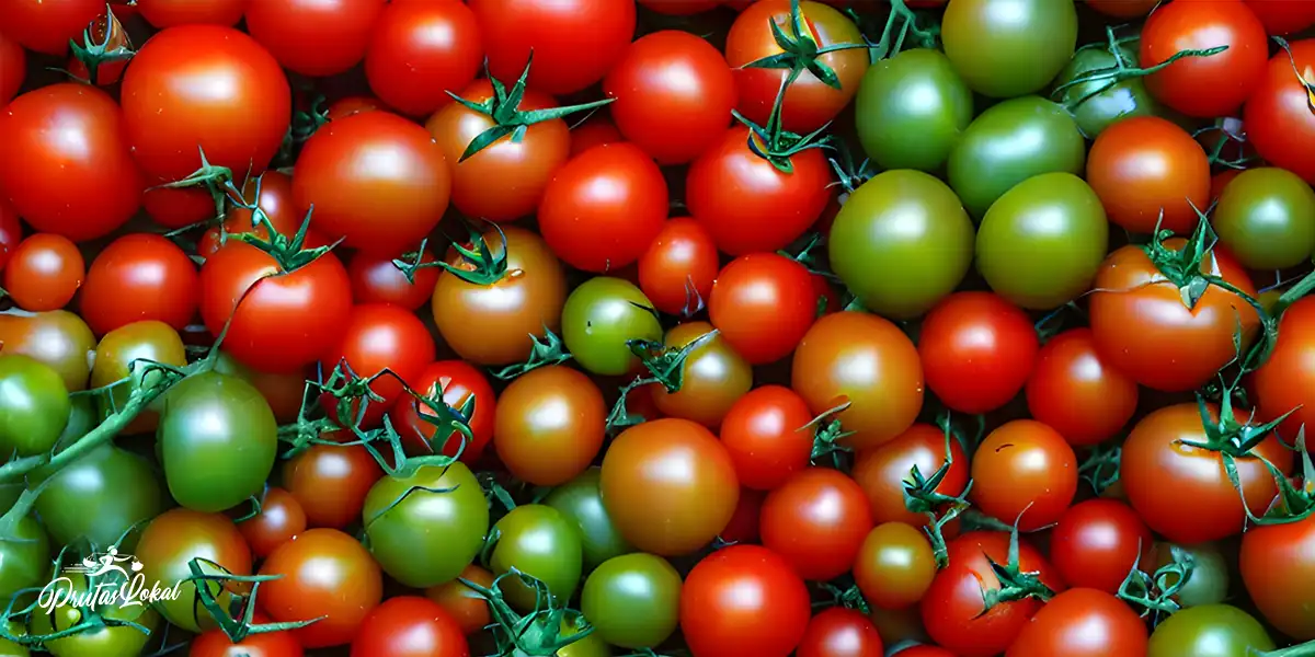 Mga Benepisyo sa Kalusugan ng Kamatis (Tomato)