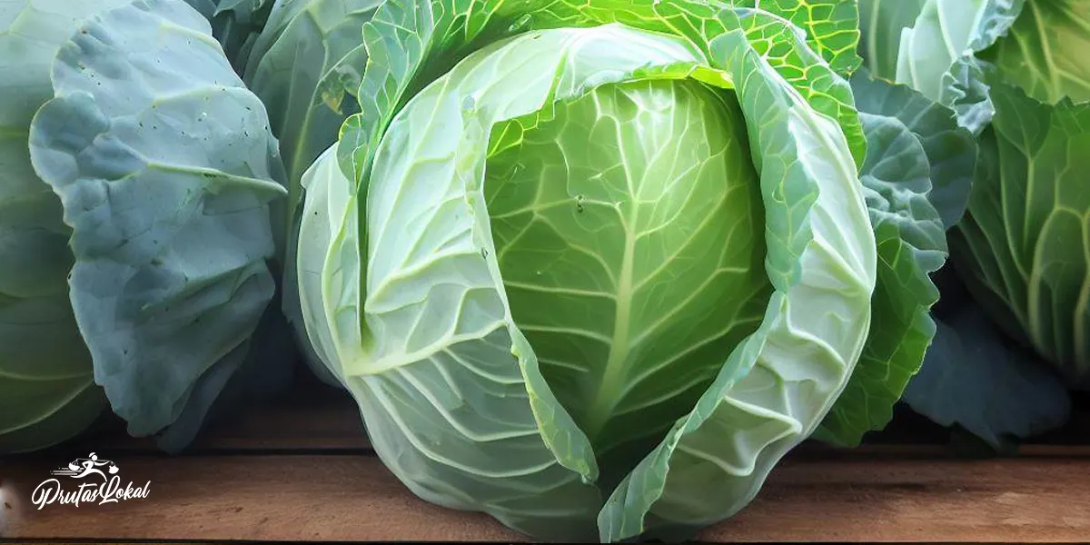 Repolyo: Mga Nakakabilib na Health Benefits.