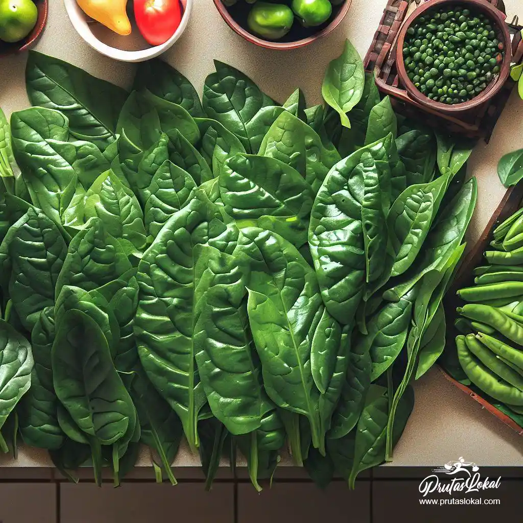 alugbati health benefits 08