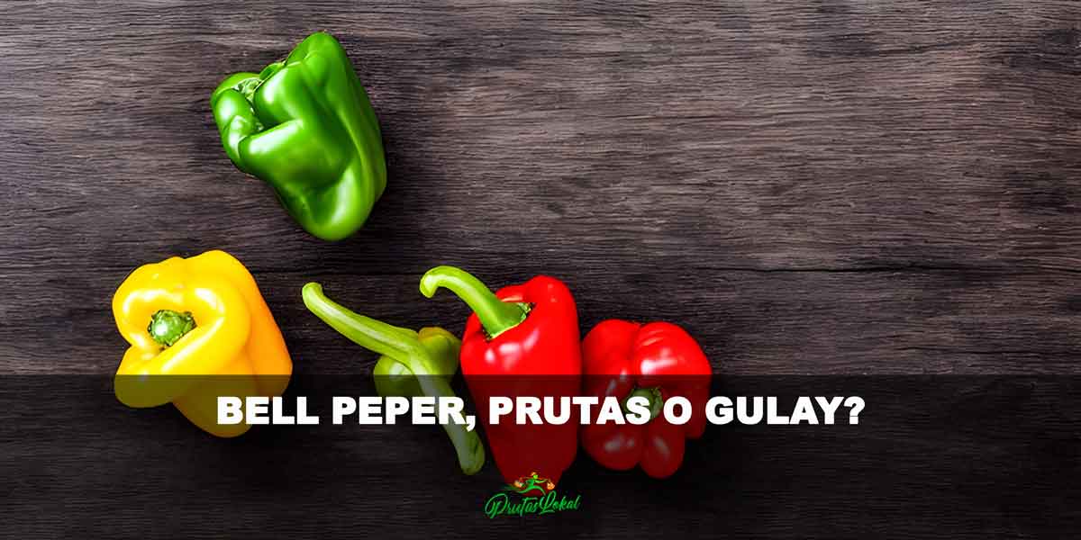Bell Pepper, Prutas o Gulay?