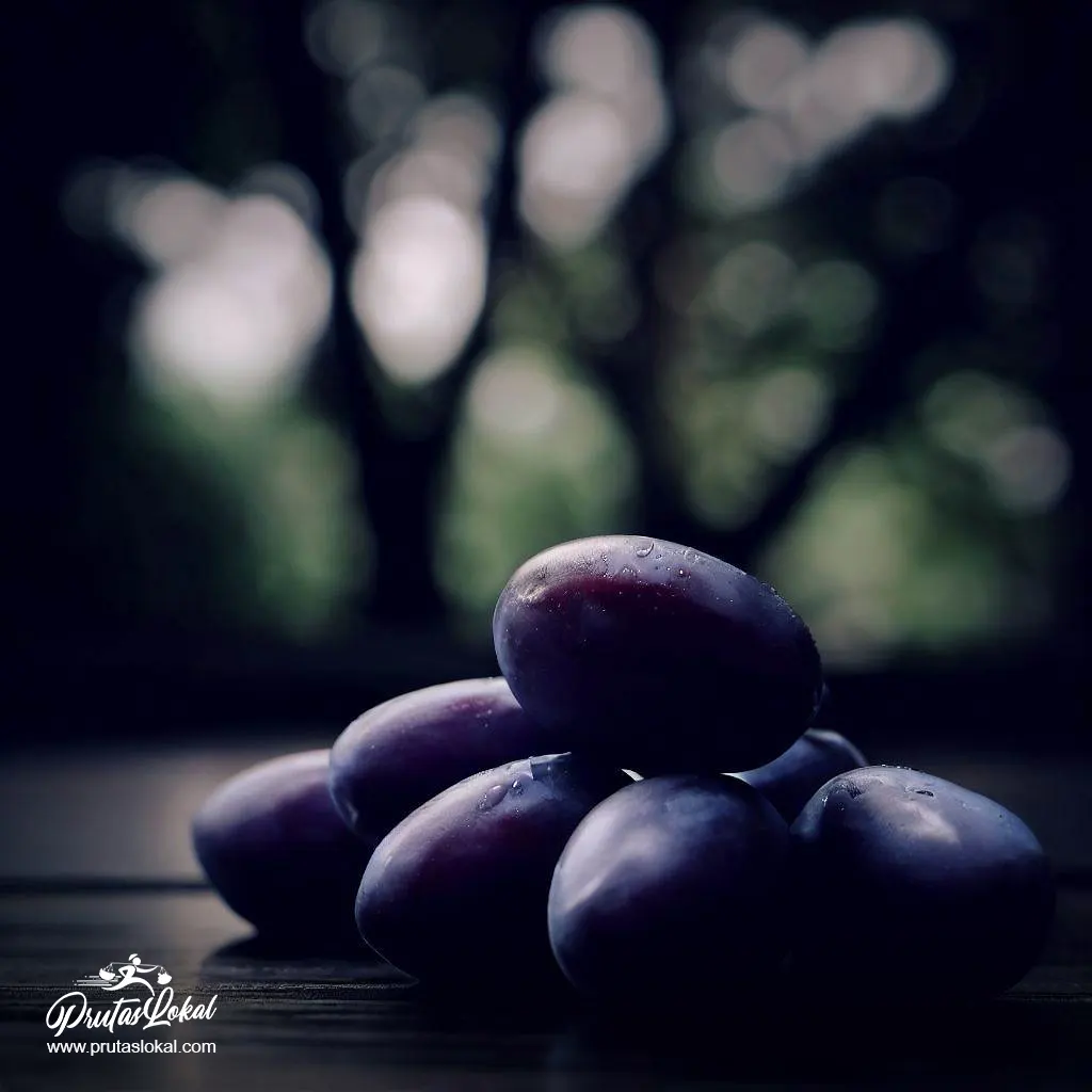 duhat java plum health benefits 03