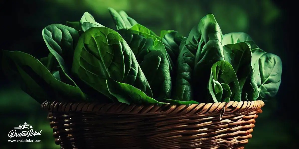 Alugbati: Mga Nakakabilib na Health Benefits
