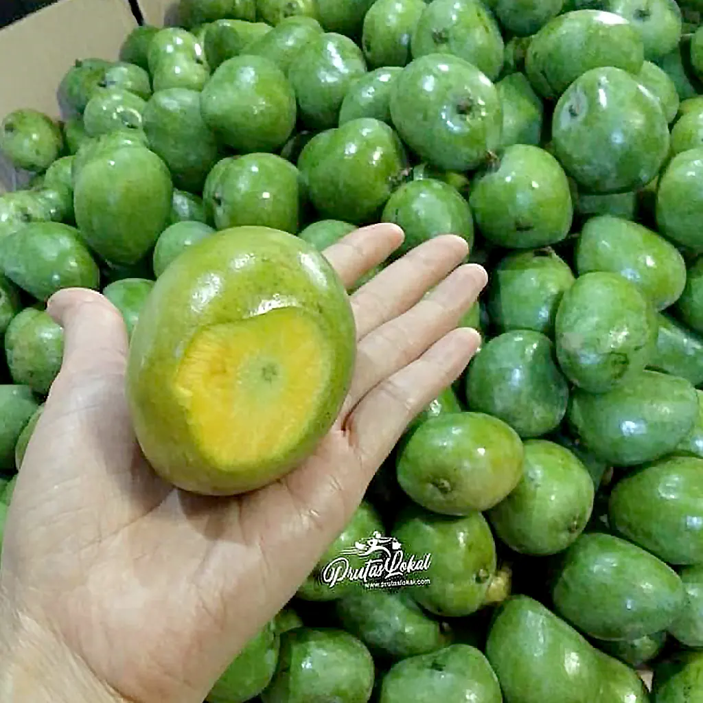 sariwa at masustansyang indian mango