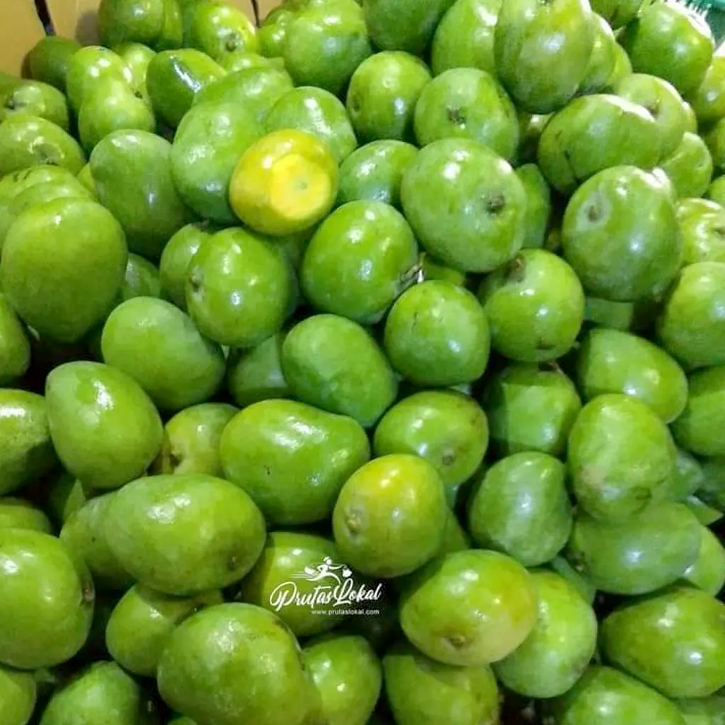 health benefits indian mango 03