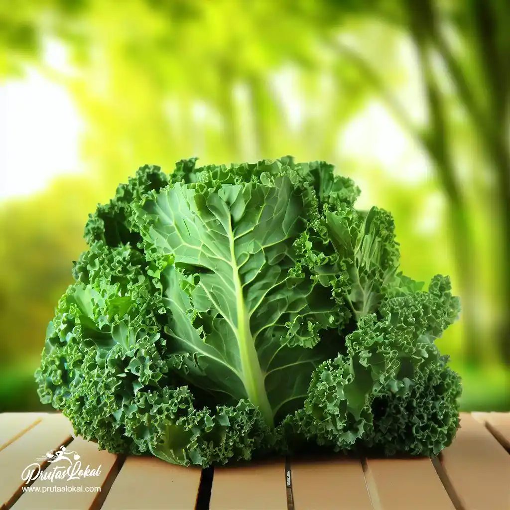 health benefits kale 05