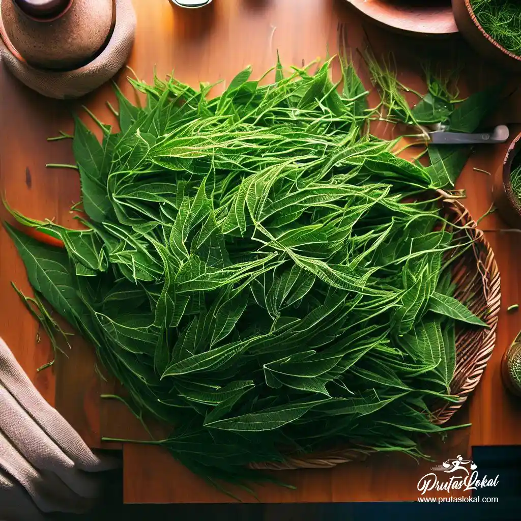 health benefits saluyot 05