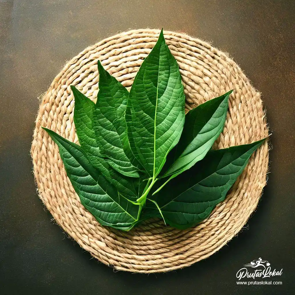 health benefits saluyot 06