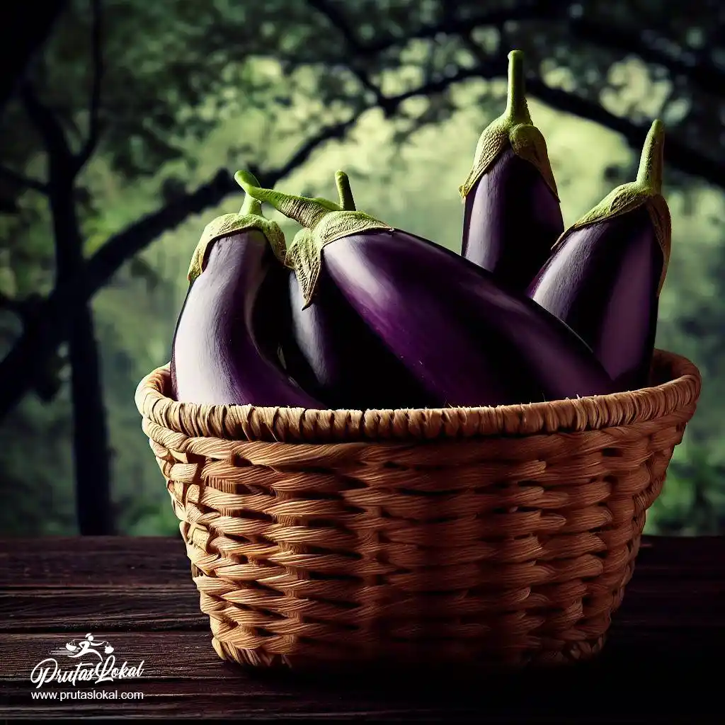 health benefits talong 02
