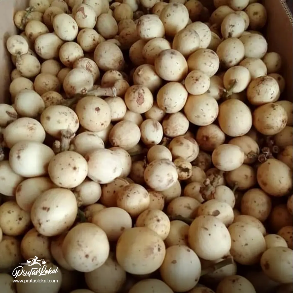 lanzones health benefits 02