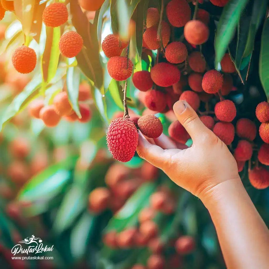 lychee health benefits 05