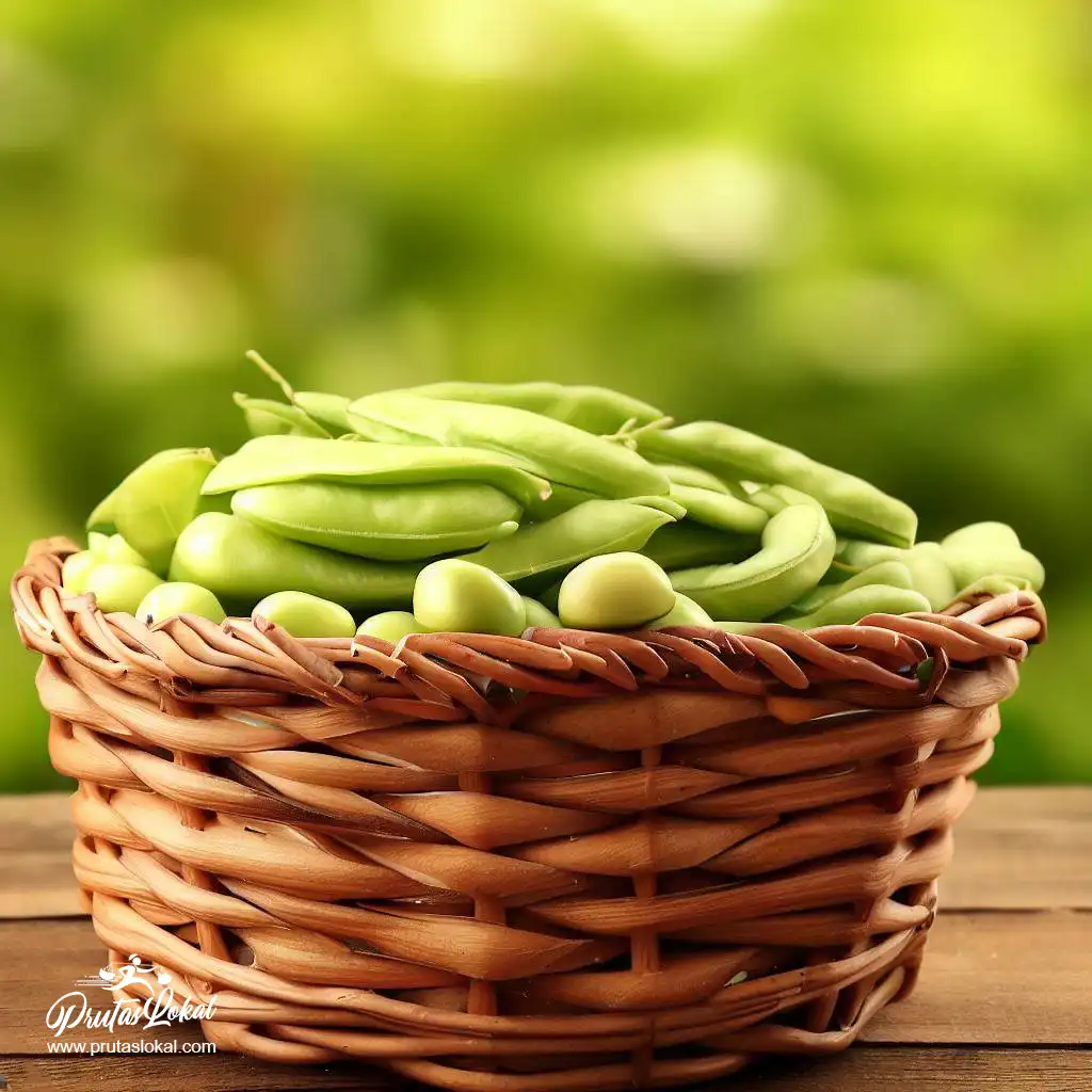 patani health benefits 04