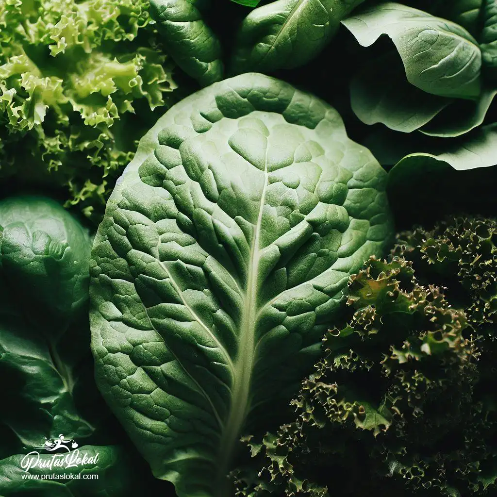 spinach kale lettuce 01