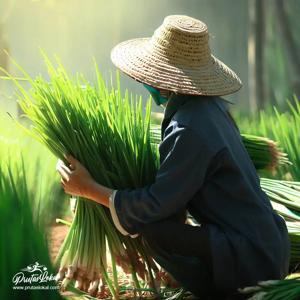 tangland health benefits 09