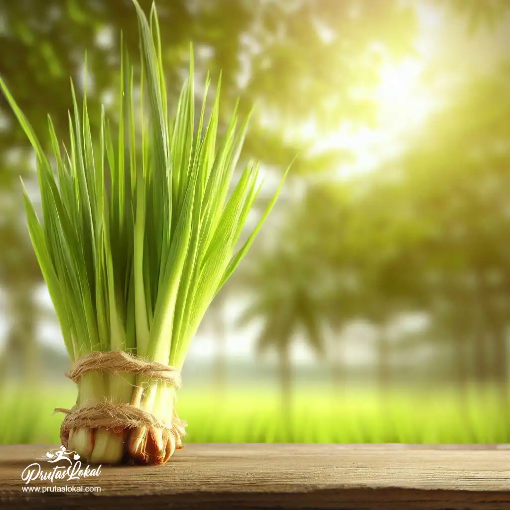 tangland health benefits 10